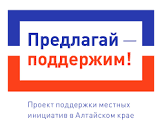 Программы поддержки местных инициатив.